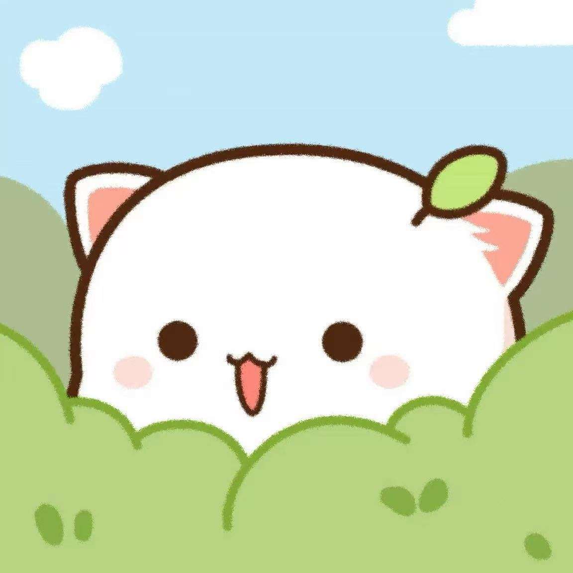 小君企发PRO
